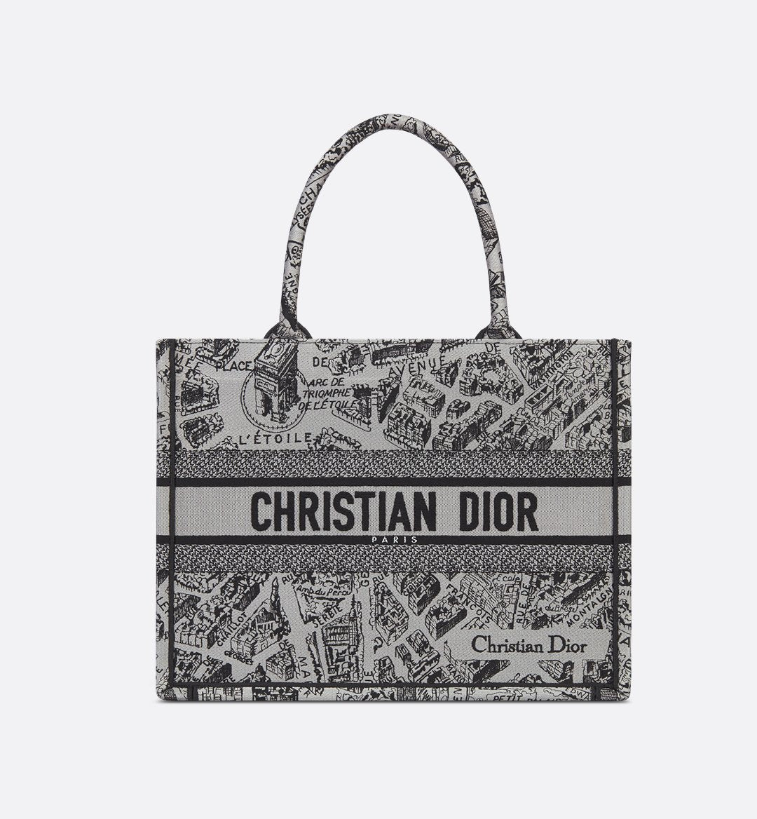 Large Lady Bag DIOR Bag (White & Black)